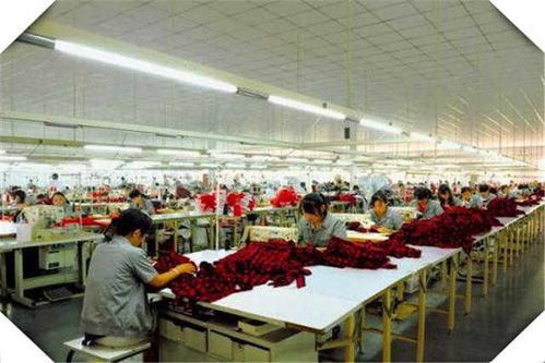 4個(gè)適合創(chuàng)業(yè)的小型加工廠項(xiàng)目推薦 干好一個(gè)年收入高達(dá)100萬(wàn)的食品方向